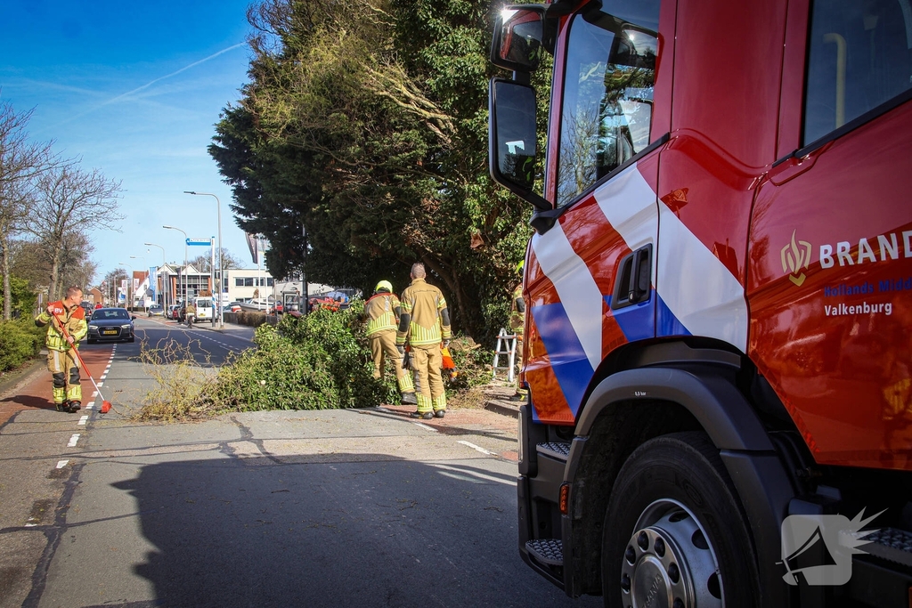 Brandweer verwijdert gevaarlijke takken na bijna ongeval