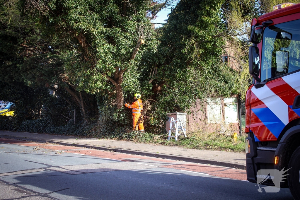 Brandweer verwijdert gevaarlijke takken na bijna ongeval