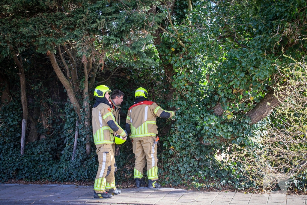 Brandweer verwijdert gevaarlijke takken na bijna ongeval