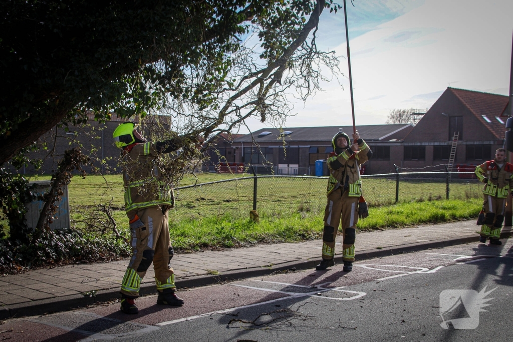 Brandweer verwijdert gevaarlijke takken na bijna ongeval
