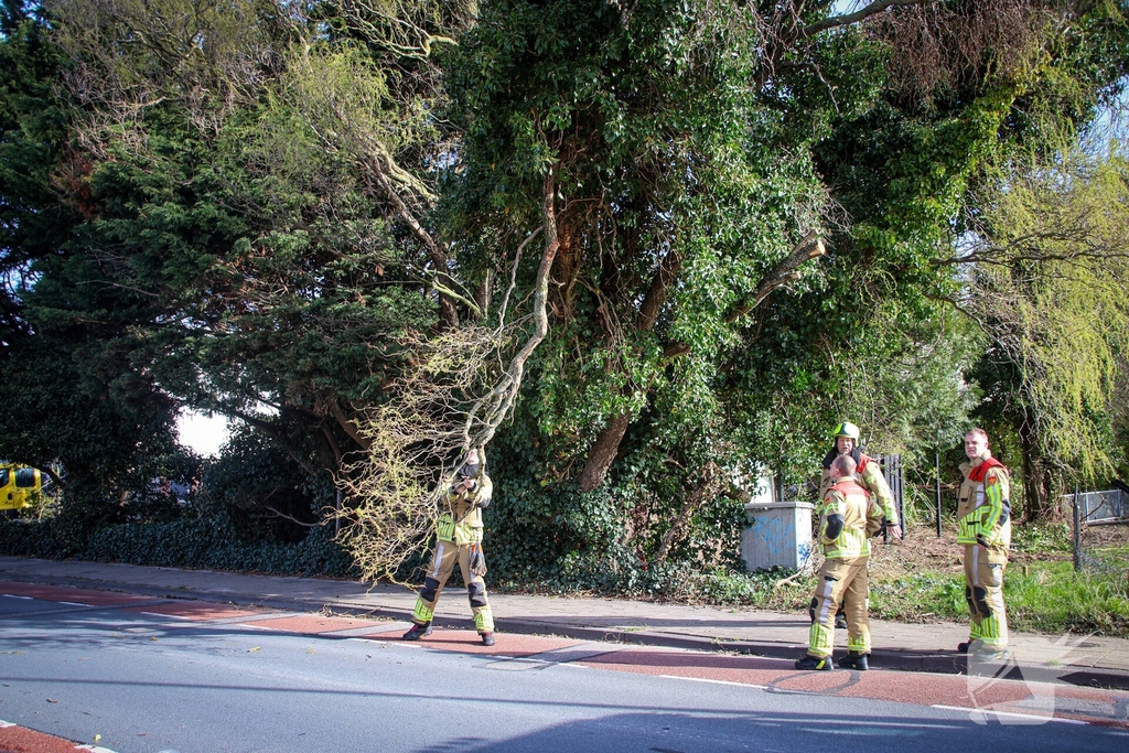 Brandweer verwijdert gevaarlijke takken na bijna ongeval