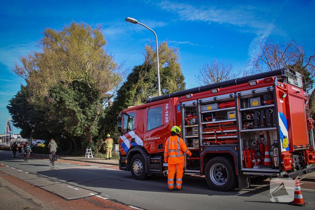Brandweer verwijdert gevaarlijke takken na bijna ongeval