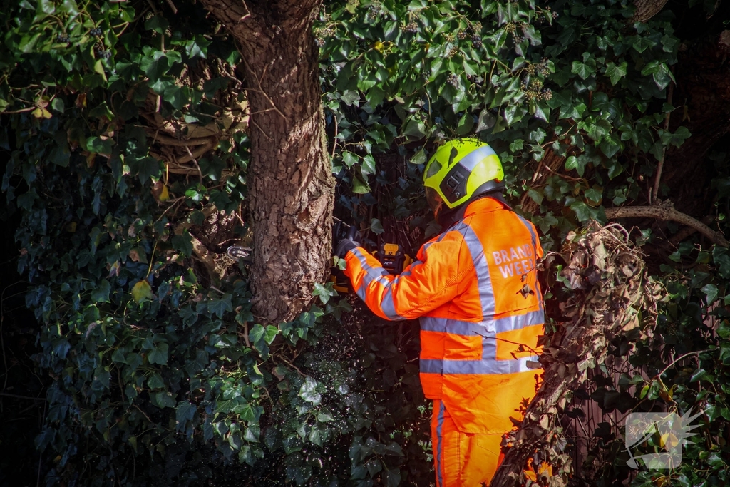 Brandweer verwijdert gevaarlijke takken na bijna ongeval