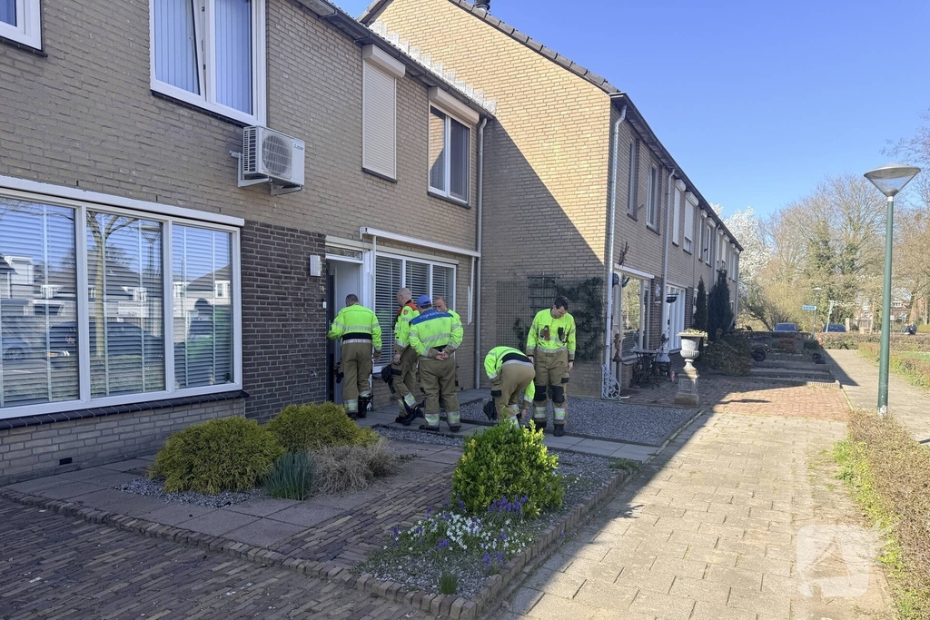 Vogel vast in spouwmuur, brandweer in actie