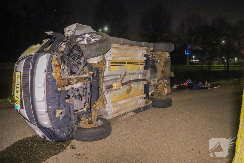 Bestelbus botst tegen boom, bestuurder gewond