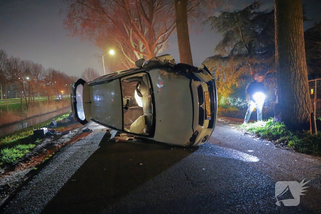 Bestelbus botst tegen boom, bestuurder gewond