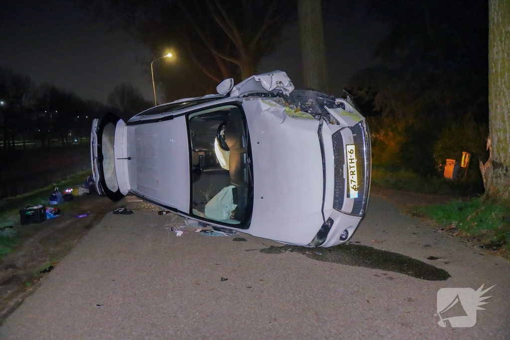 Bestelbus botst tegen boom, bestuurder gewond