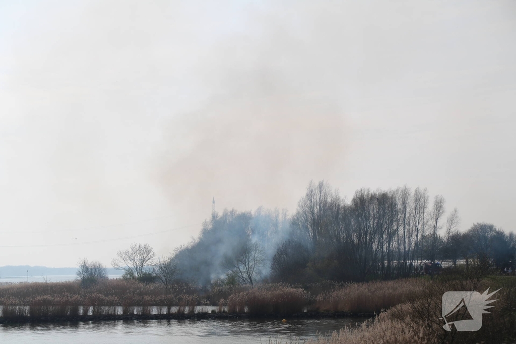 Brand verwoest riet langs het water