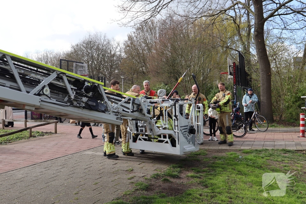 Brandweer redt kat uit boom