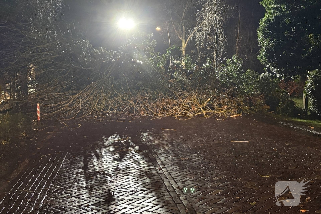 Boom blokkeert weg na storm
