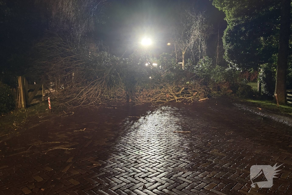 Boom blokkeert weg na storm