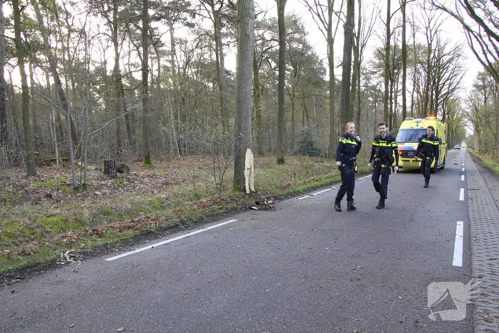 Auto botst tegen boom met bestuurder gewond