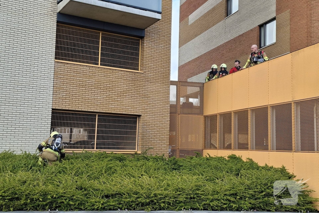 Brandende bosschages snel geblust