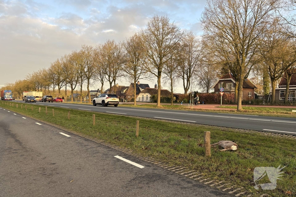 Auto rijdt ree aan op drukke weg