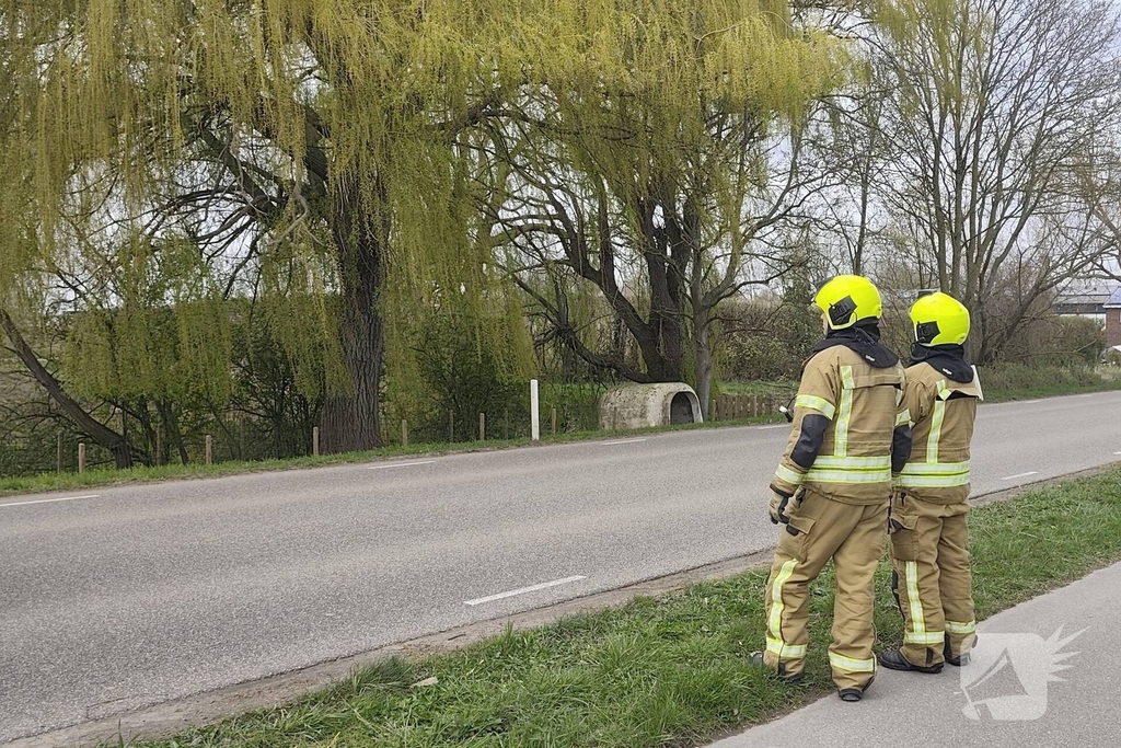 Brandweer verwijdert gevaarlijk hangende takken