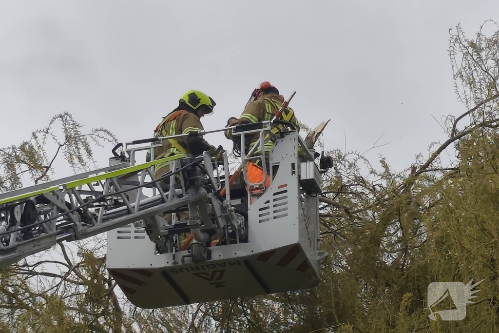 Brandweer verwijdert gevaarlijk hangende takken
