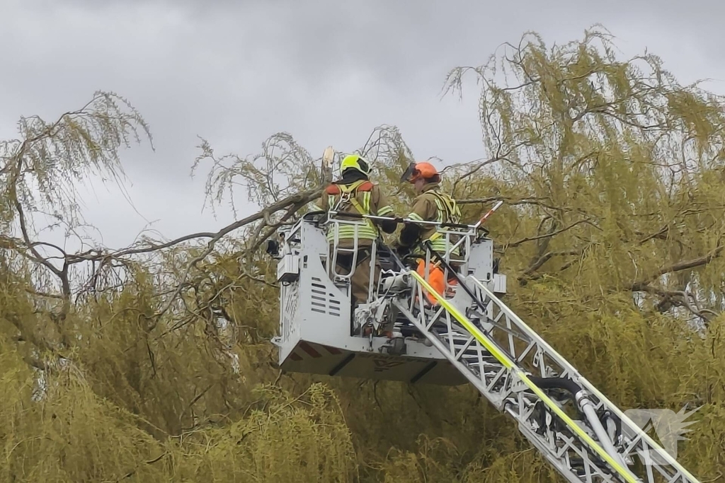 Brandweer verwijdert gevaarlijk hangende takken