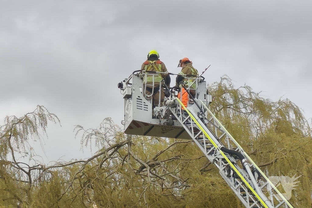 Brandweer verwijdert gevaarlijk hangende takken