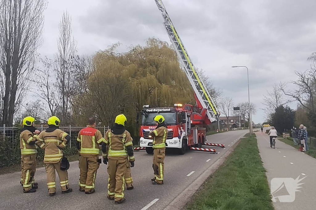 Brandweer verwijdert gevaarlijk hangende takken