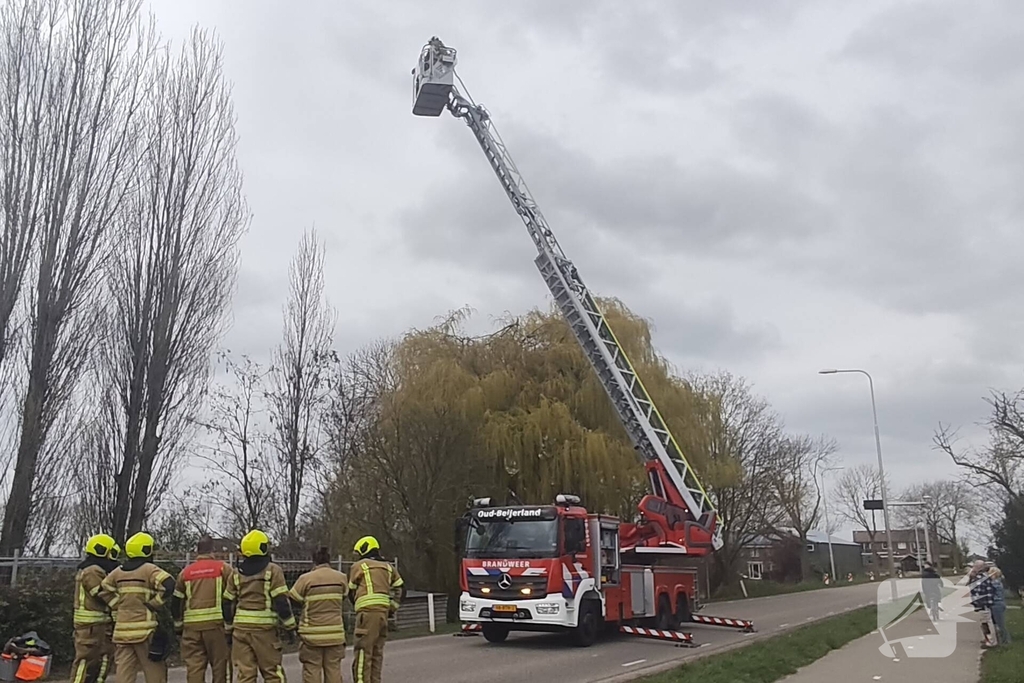 Brandweer verwijdert gevaarlijk hangende takken