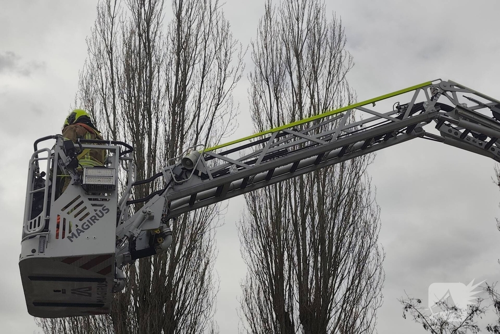 Brandweer verwijdert gevaarlijk hangende takken