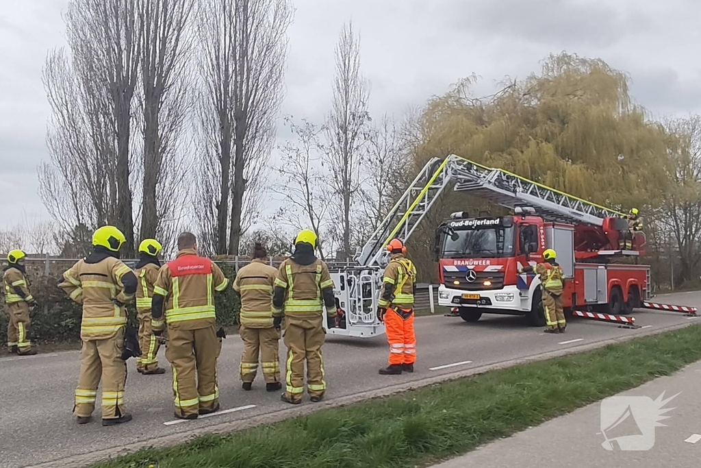 Brandweer verwijdert gevaarlijk hangende takken