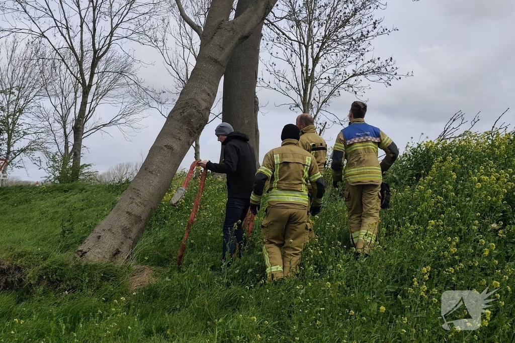 Gevaarlijke situatie door dreigende boomval
