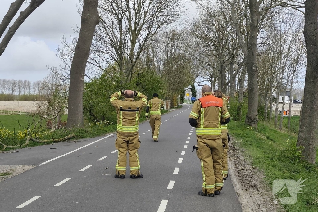 Gevaarlijke situatie door dreigende boomval