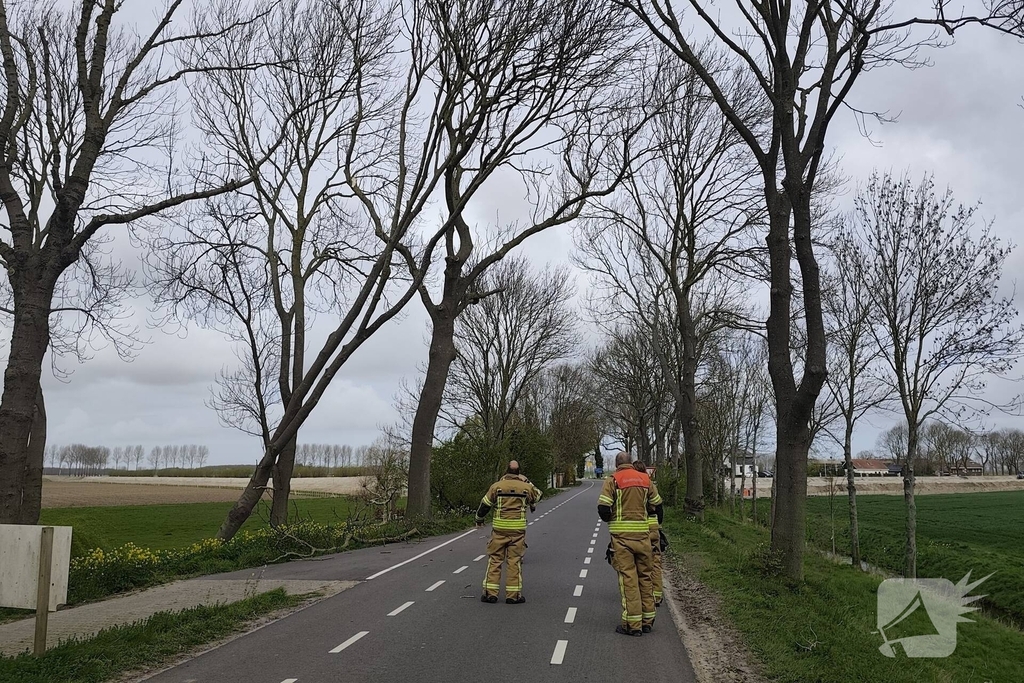 Gevaarlijke situatie door dreigende boomval