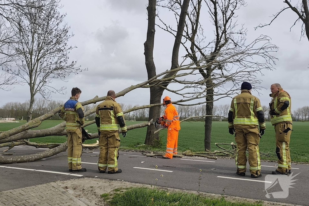 Gevaarlijke situatie door dreigende boomval