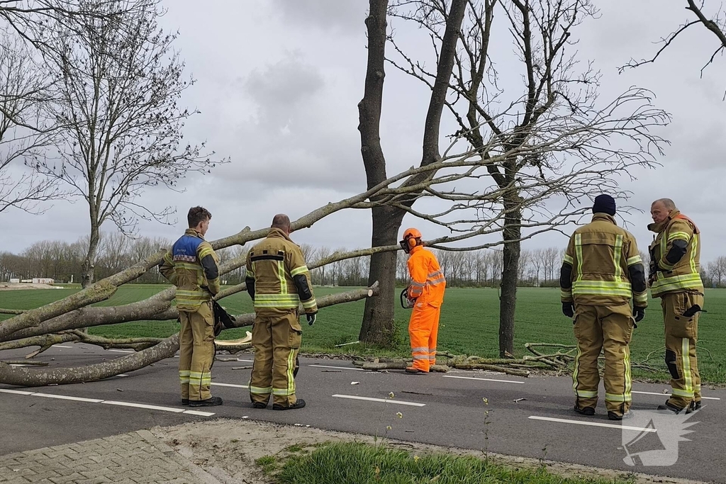 Gevaarlijke situatie door dreigende boomval