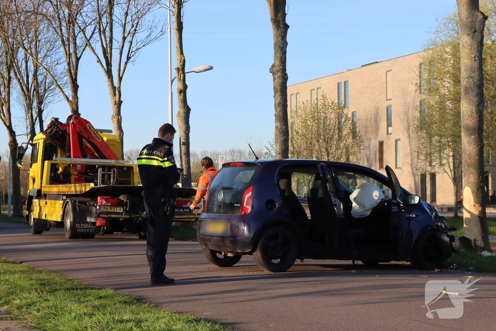 Bestuurder botst tegen boom