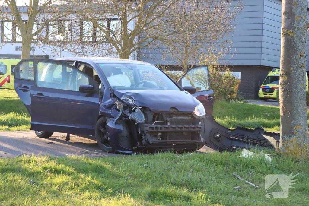 Bestuurder botst tegen boom