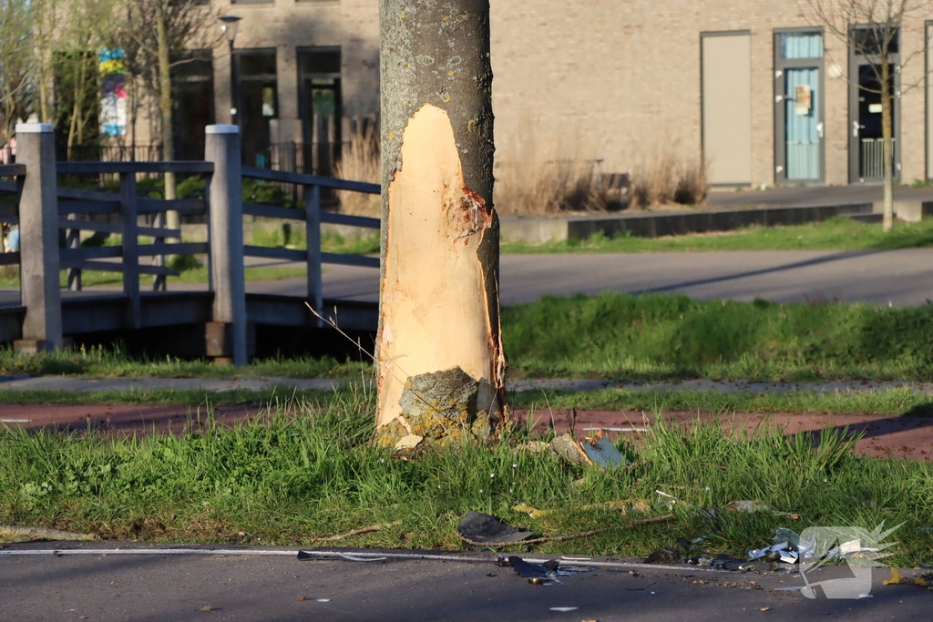 Bestuurder botst tegen boom