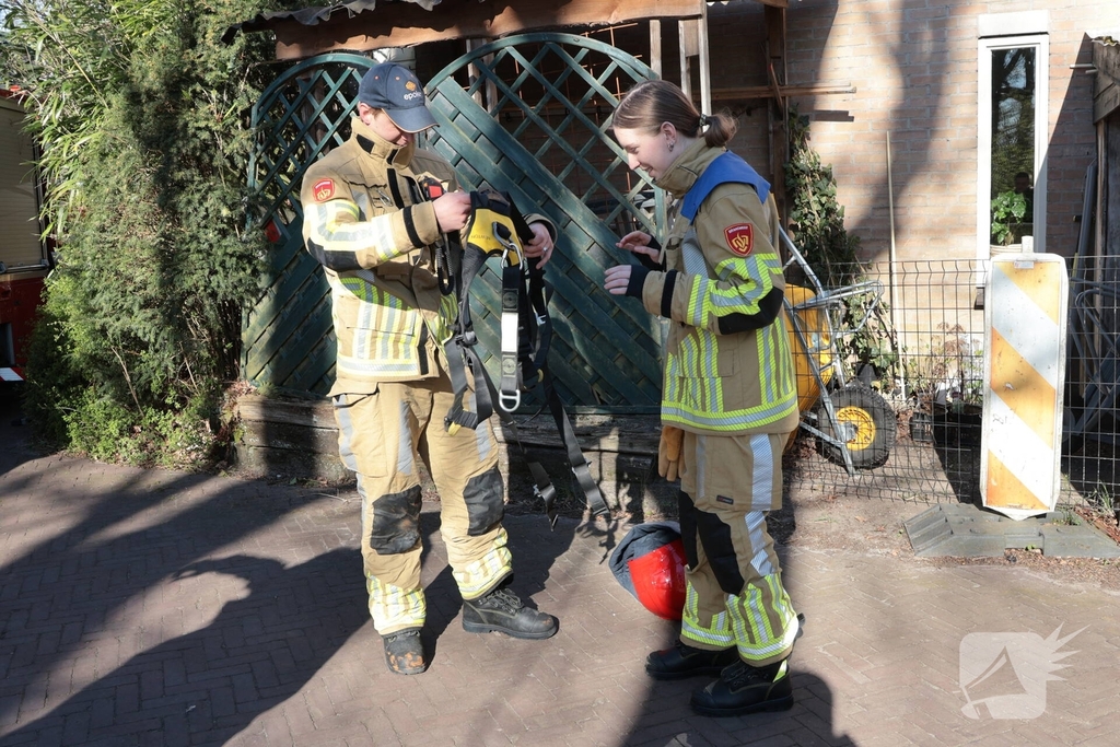 Brandweer redt kat uit boom