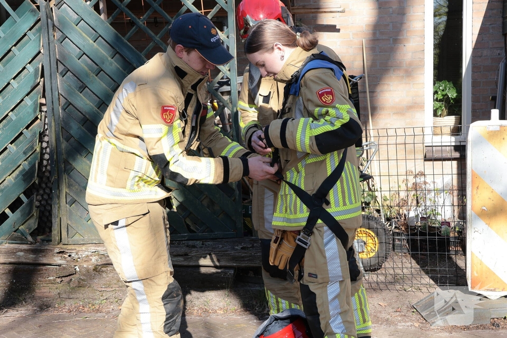 Brandweer redt kat uit boom