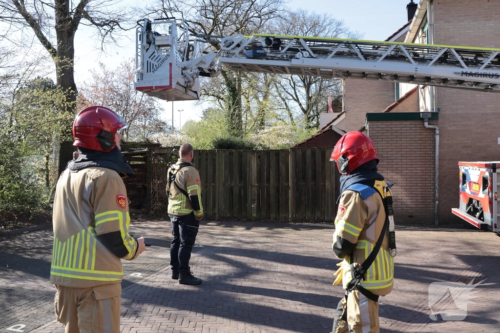 Brandweer redt kat uit boom