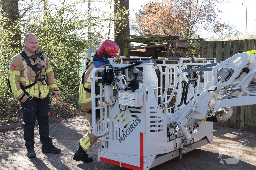 Brandweer redt kat uit boom