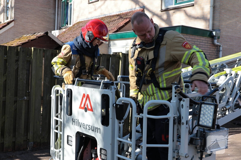 Brandweer redt kat uit boom