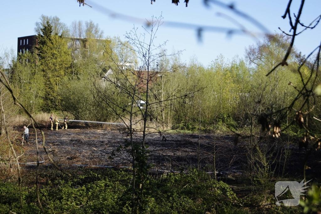 Natuurgebied in vlammen, tram- en busverkeer gestremd