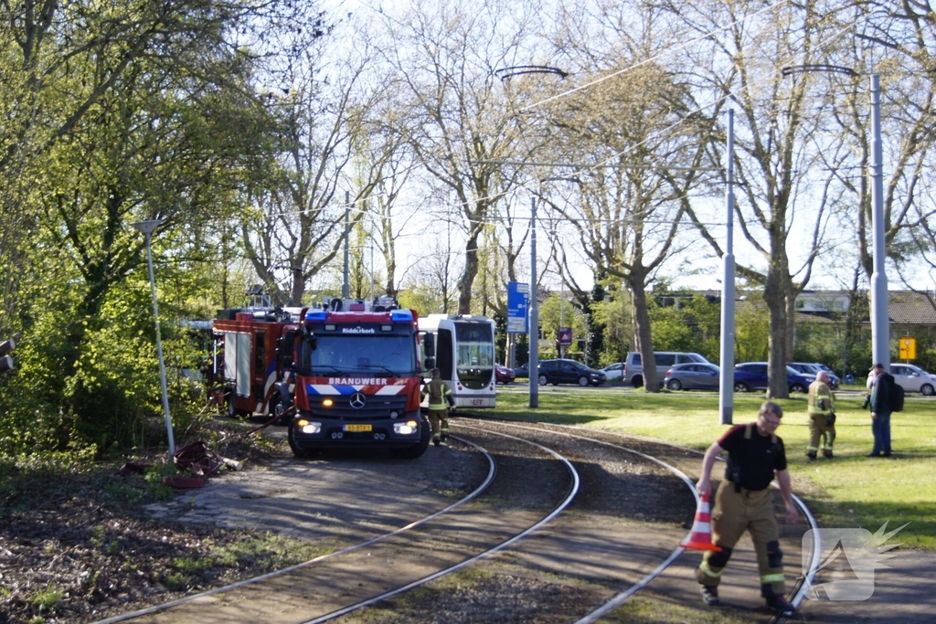 Natuurgebied in vlammen, tram- en busverkeer gestremd