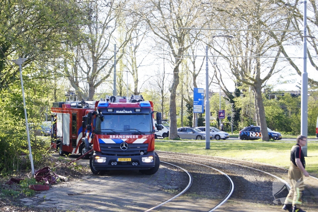 Natuurgebied in vlammen, tram- en busverkeer gestremd