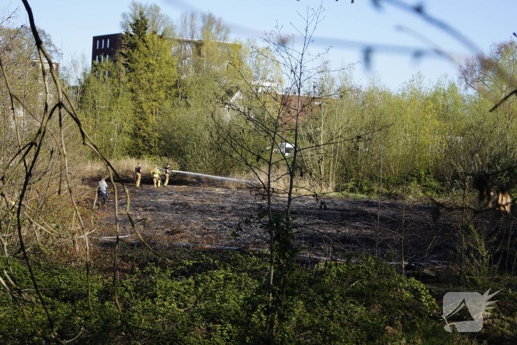 Natuurgebied in vlammen, tram- en busverkeer gestremd