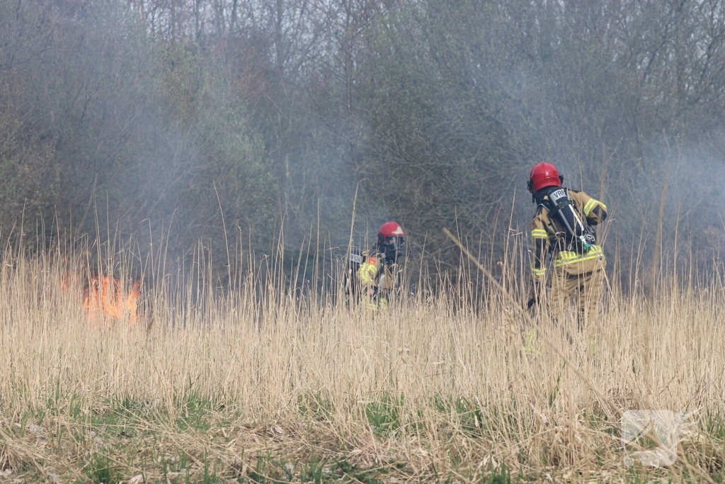 Brand in rietgebied snel geblust