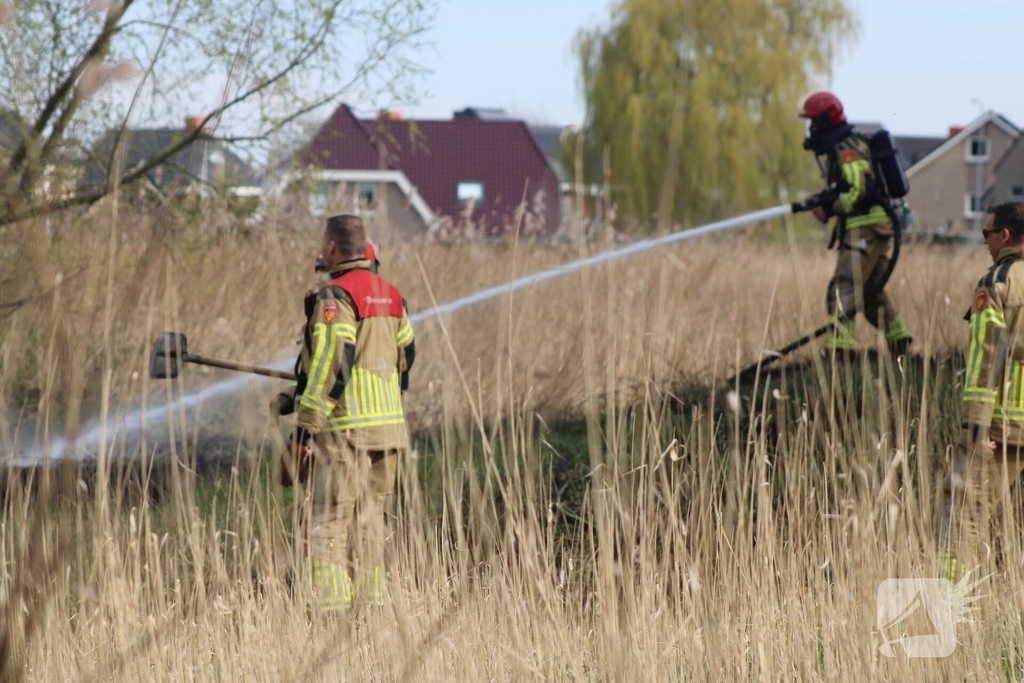 Brand in rietgebied snel geblust