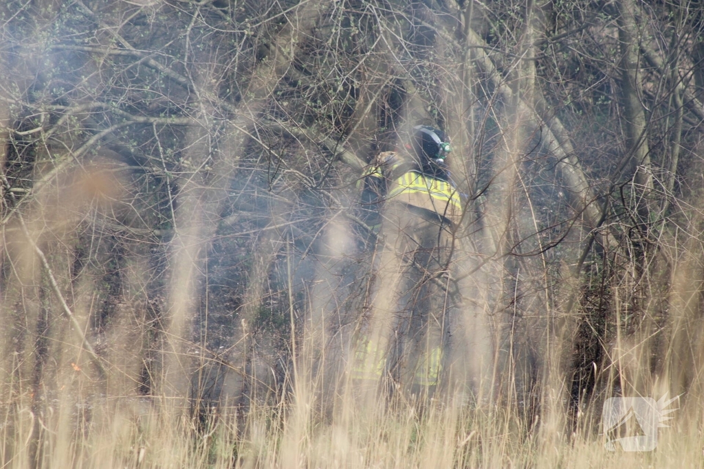 Brand in rietgebied snel geblust