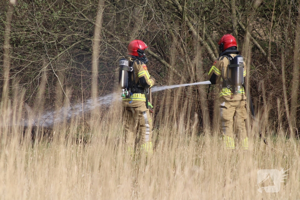 Brand in rietgebied snel geblust