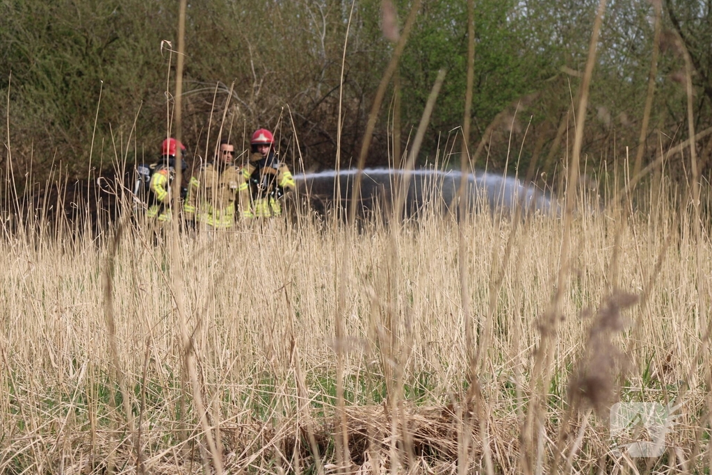 Brand in rietgebied snel geblust