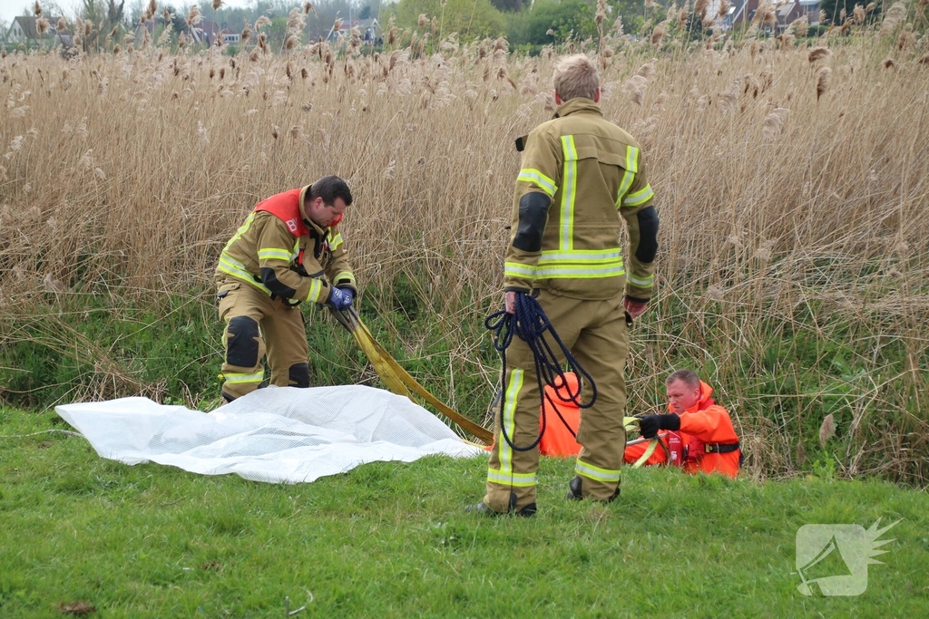 Brandweer redt koe uit sloot