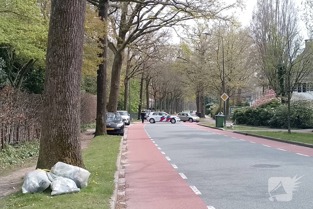 Grote coniferenhaag vliegt in brand